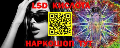 индика Сланцы