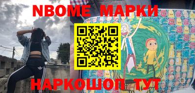 индика Сланцы