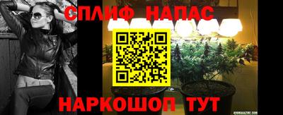 Альфа ПВП Славянск-на-Кубани