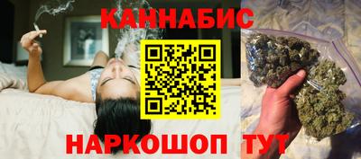 индика Сланцы