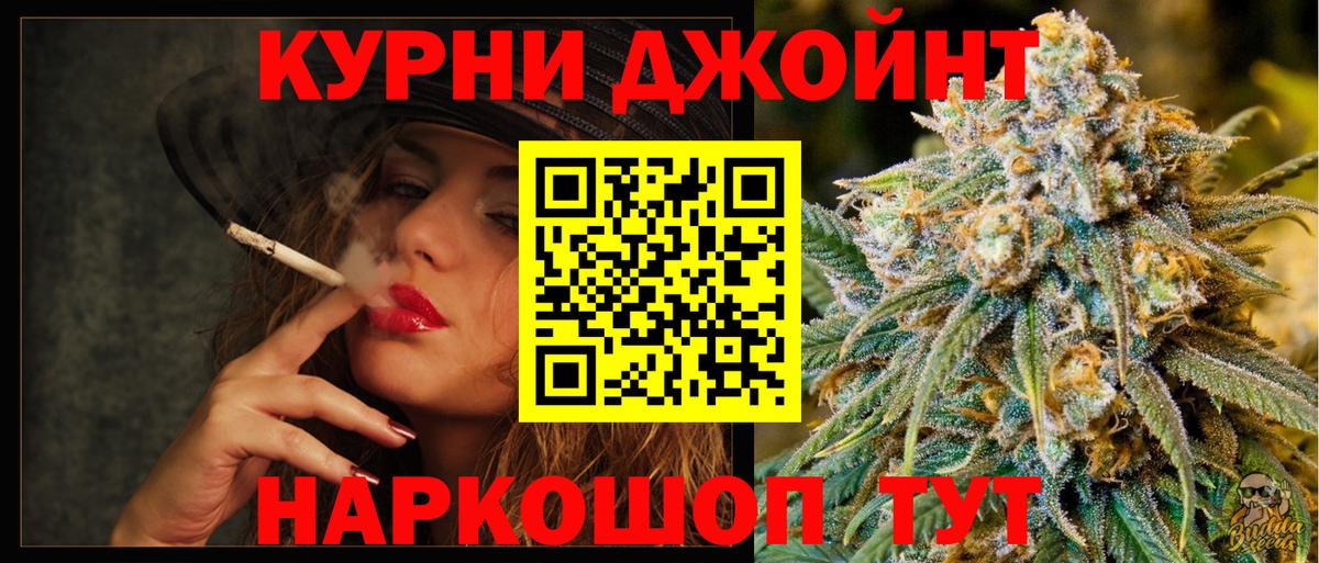 Буйнакск  Канабис сатива  Каннабис планчик  Вход с VPN  Канабис White Widow 